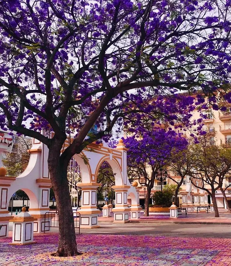 Higueronrentals Casa Linda Màlaga Apartmán