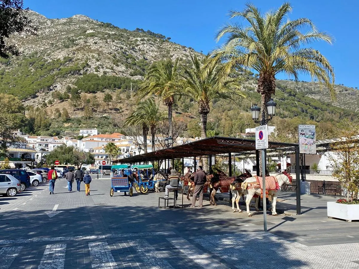 Higueronrentals Casa Linda Malaga 0*,  Spain